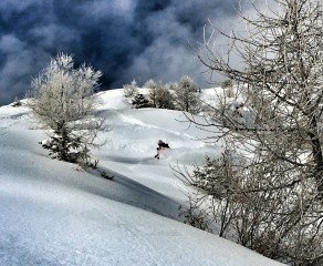 February Storms