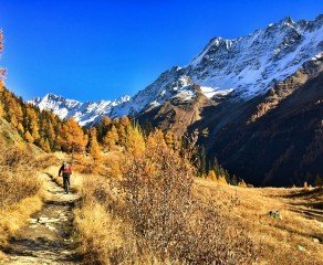 Elektrik Lärchen in Lötschental