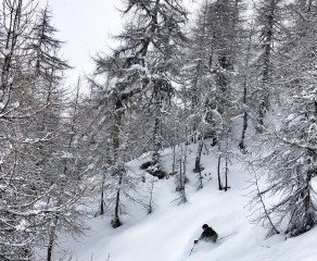 The backyard is finally open. Powder in Bruson!