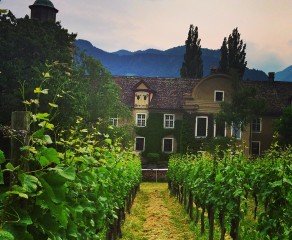 Swiss Rhine Wine: Maienfeld 